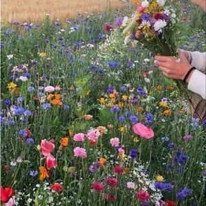 CLOSET CLEANOUT! Spring cleaning for the new season!!!